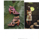 Illustration for article titled March Anthropologie: A Lush, Tropical Dream With Nightmarish Shoes